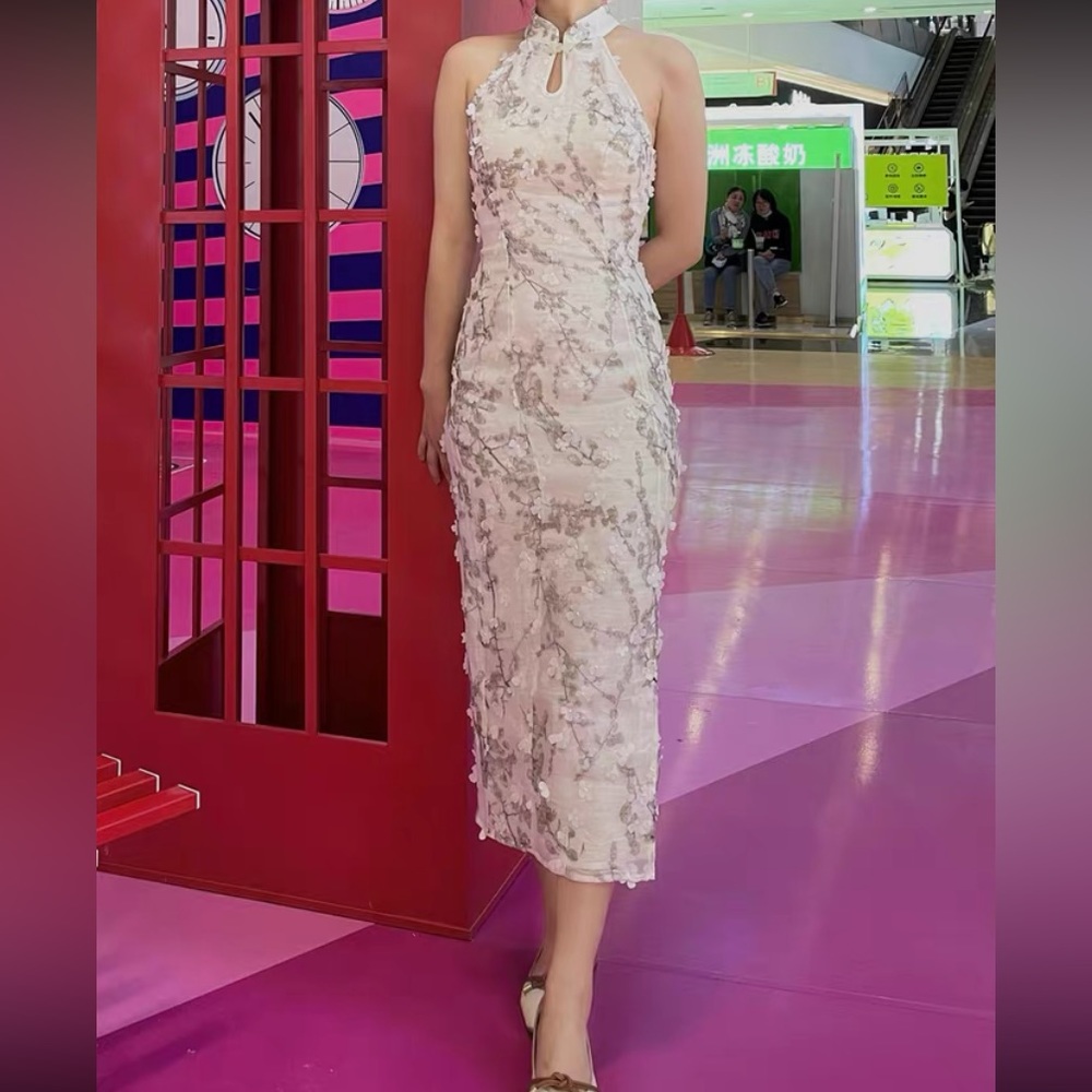 Asian Traditional Dress